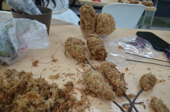 115.7.9(四)藝文競賽之【水苔植栽創意綠雕(森林小熊)】圖片