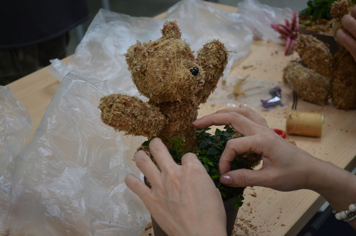 115.7.9(四)藝文競賽之【水苔植栽創意綠雕(森林小熊)】圖片