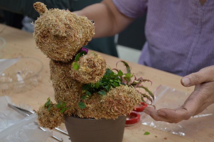 115.7.9(四)藝文競賽之【水苔植栽創意綠雕(森林小熊)】圖片