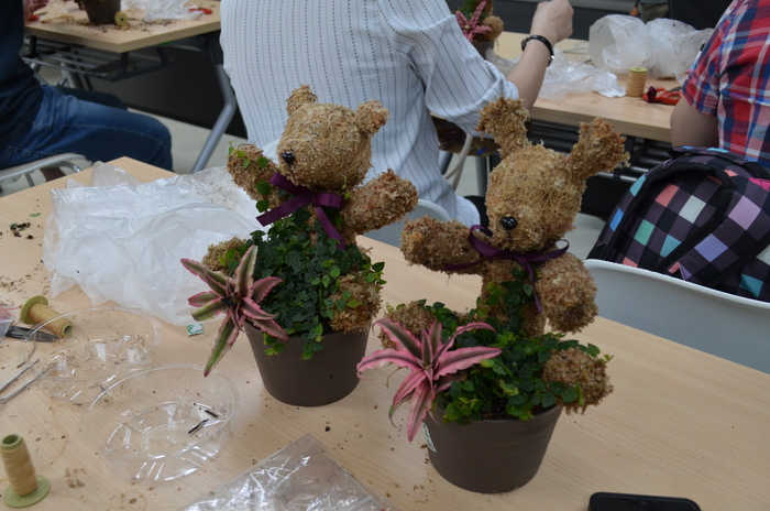 115.7.9(四)藝文競賽之【水苔植栽創意綠雕(森林小熊)】圖片