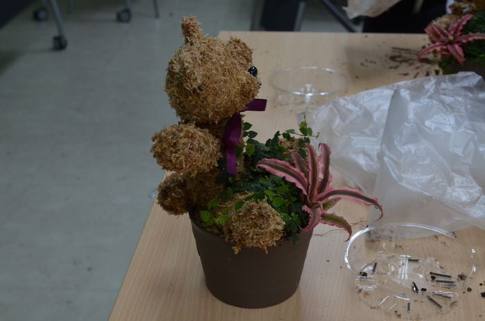 115.7.9(四)藝文競賽之【水苔植栽創意綠雕(森林小熊)】圖片