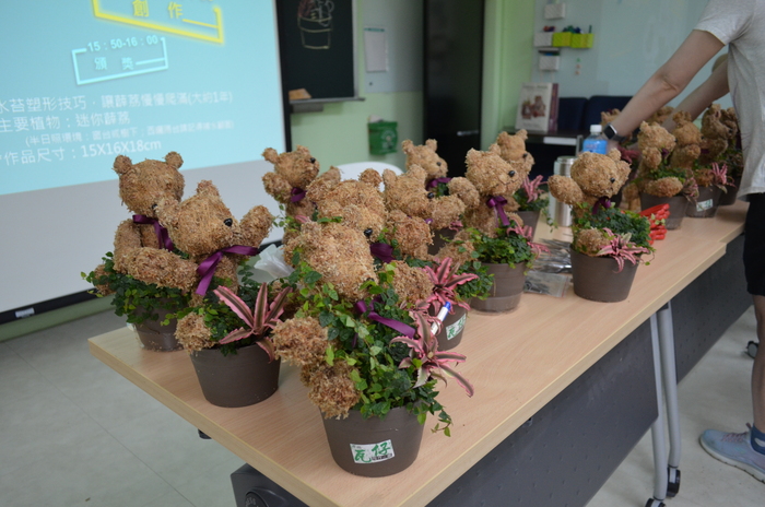 115.7.9(四)藝文競賽之【水苔植栽創意綠雕(森林小熊)】圖片