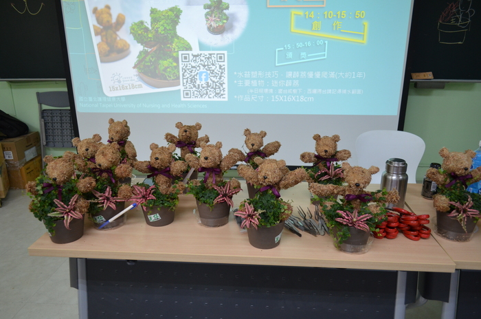 115.7.9(四)藝文競賽之【水苔植栽創意綠雕(森林小熊)】圖片