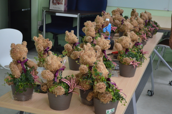 115.7.9(四)藝文競賽之【水苔植栽創意綠雕(森林小熊)】圖片