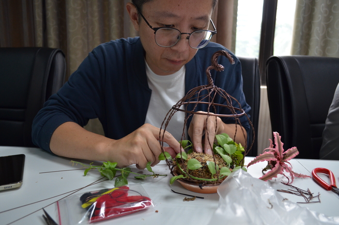 114.7.10(四)藝文競賽之【龜甲網鳥籠工藝植栽創意】圖片