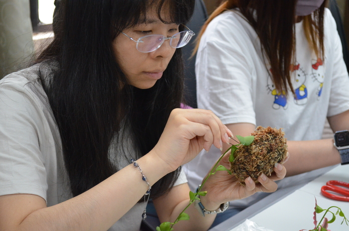114.7.10(四)藝文競賽之【龜甲網鳥籠工藝植栽創意】圖片